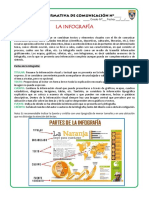 COM - FI Infografia