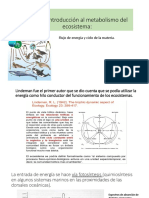 Tema 4. Metabolismo Del Ecosistema