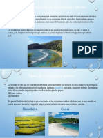 Caracteristicas y Tipos de Los Ecosistemas Mixtos