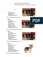 Ficha1 Necessidades Energeticas