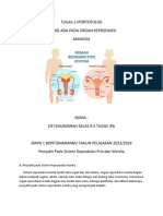 Tugas 2 (Portofolio) Penyakit Yang Ada Pada Organ Reproduksi Manusia