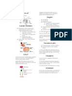 Monitoria Endocrino 1