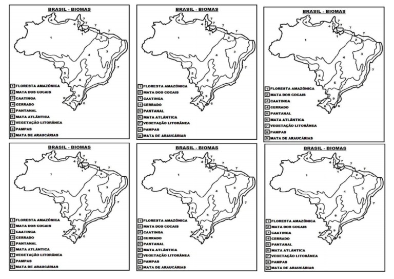 Biomas Brasileiros Mapa para Colorir | PDF
