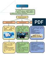 Mapas Conceptuales