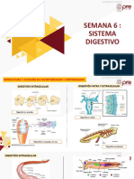 Diapositivas Biología Semana 06 Ciclo 2022-II Por Alberto Cruz