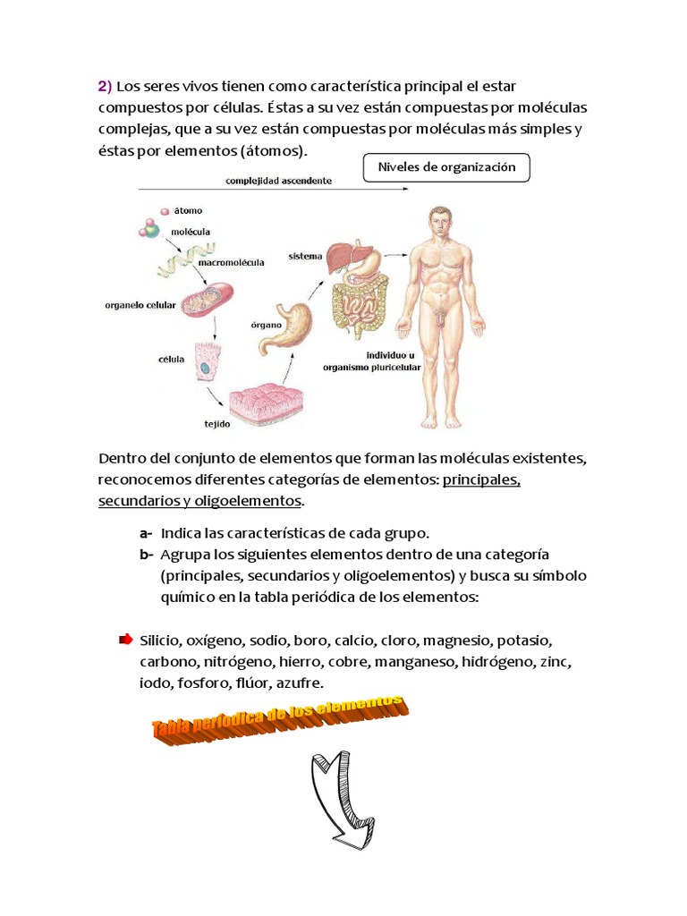 Composicion Quimica de Los Seres Vivos | PDF