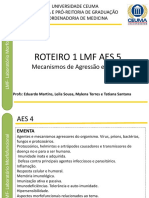 1 Roteiro AES5 LMF