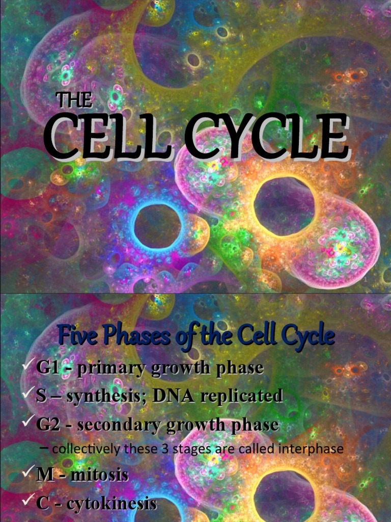 The Cell Cycle Biology Diagrams