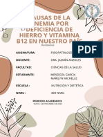 CAUSAS DE LA ANEMIA POR DEFICIENCIA DE HIERRO Y VITAMINA B12 EN NUESTRO PAÍS (Fotos +)