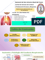 Medicamentos Administrador Por Via Pulmonar