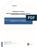 Formato Plan Integral de Prevencion de Riesgos Laborales - Irina Mayorga-1-24