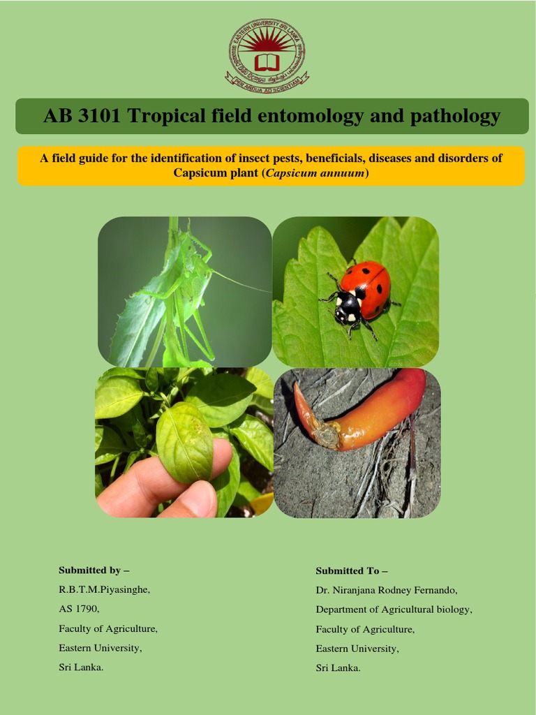 Field Record Book Tropical Field Entomology PDF