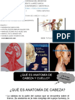 Expo de Anatomia Cuello y Cabeza-1