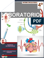 Laboratorio: Sistema Circulatorio