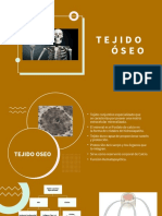 Tejido Oseo-Marian Palacios