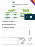 Guía de Estudio - Ciencias 4to