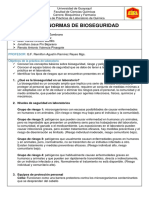 Informe 1 Org - Hoja de Seguridad