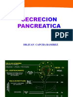3 Secreccion Pancretica 2023