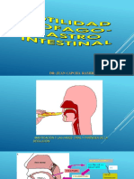 Motilidad Gastro-Intestinal2023