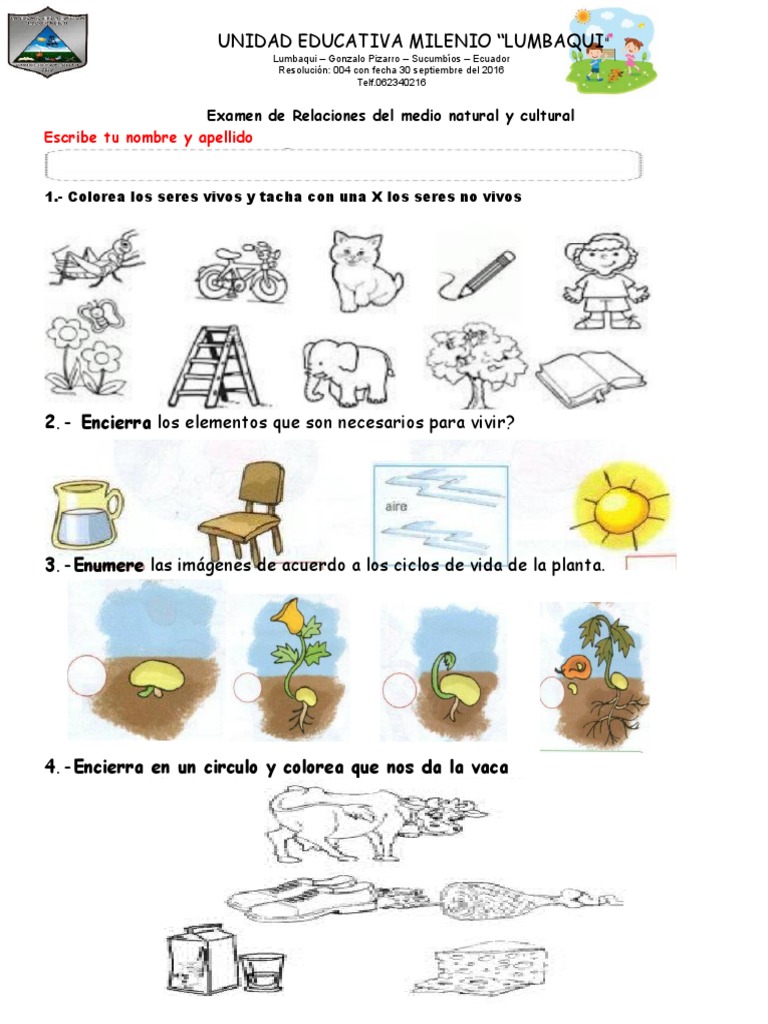 Examen de Relaciones Del Medio Natural y Cultural | PDF