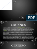 Organos