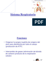 Sistema Respiratorio BIOL 3106