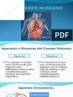 Sistemas y Aparatos Ceclab