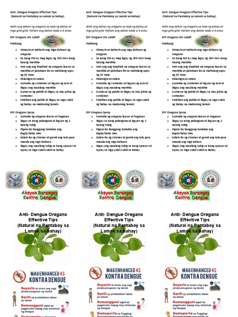 DIY AntiDENGUE OREGANO TIPS PDF