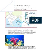 Andaman and Nicobar Islands Coral Reefs