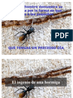 El_ingenio_de_una_hormiga