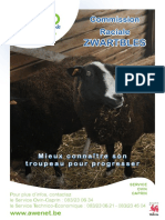 Folder ZWARTBLES 2019