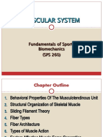 5 Muscular System