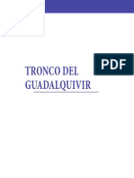 Tronco Del Guadalquivir