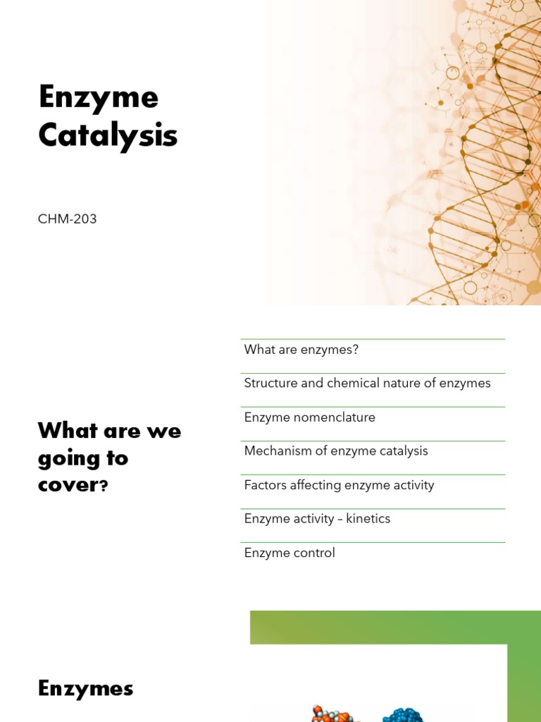 Enzyme Catalysis PDF Enzyme Inhibitor Enzyme
