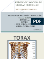 Torax (Exposicion)