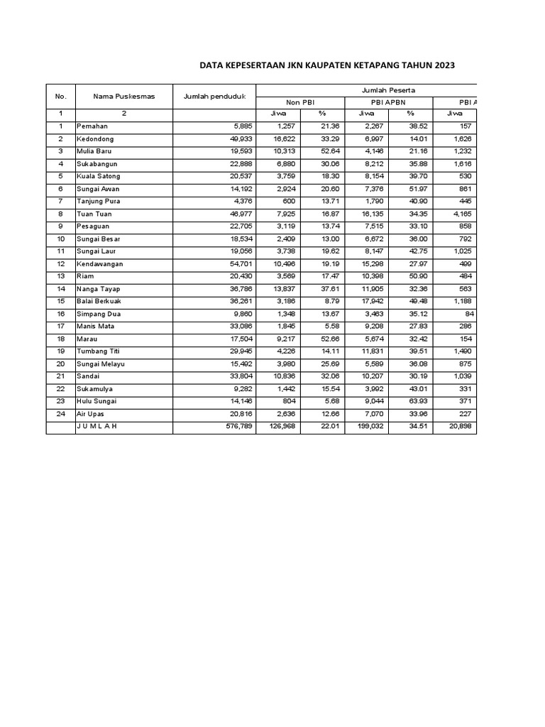 Data Kepesertaan Bpjs Pdf