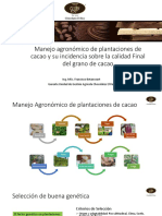 Manejo Agronómico de Plantaciones de Cacao INSAI