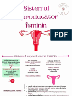 Sistemul Reproducator Feminin