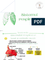 Sistemul Respirator