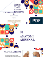 Feokromositoma DR Ulil