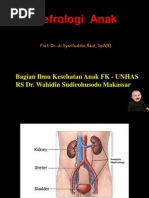 Download Kuliah Nefro Baru by Zarah Alifani Dzulhijjah SN66351999 doc pdf