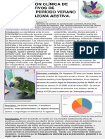 6 Presentacion Clinica de Casos Positivos de Psitacosis Periodo Verano 2021 en Amazona Aestiva