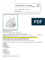 Lista 3AEM Funções Vitais Das Plantas