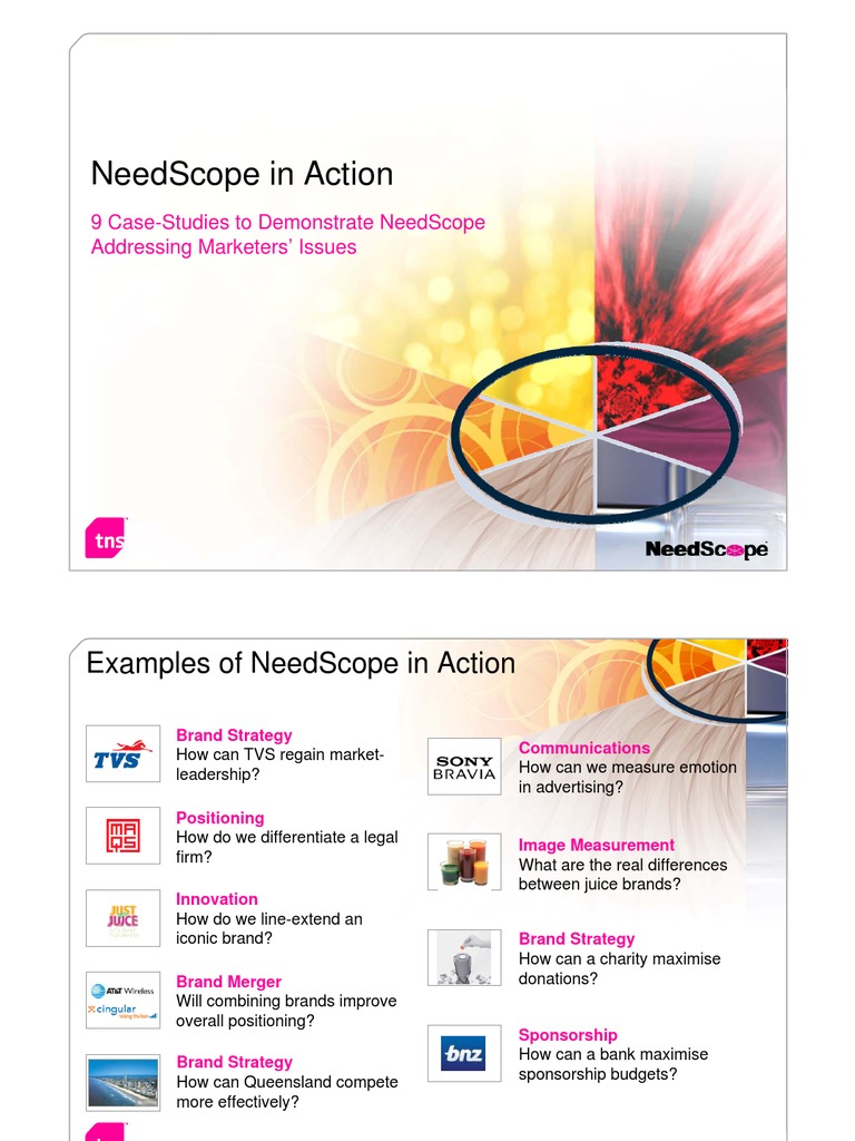 NeedScope Case Studies for Marketers | PDF | Brand | Mergers And ...