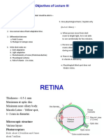 Visual Acuity and Retina-3