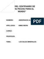 Trabajo de Sales Minerales