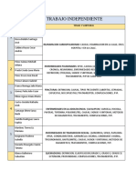 Temas Trabajo Independiente Fundamentos