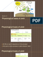  Soil Chapter 2