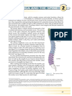 01 - Vertical Spine & Movements