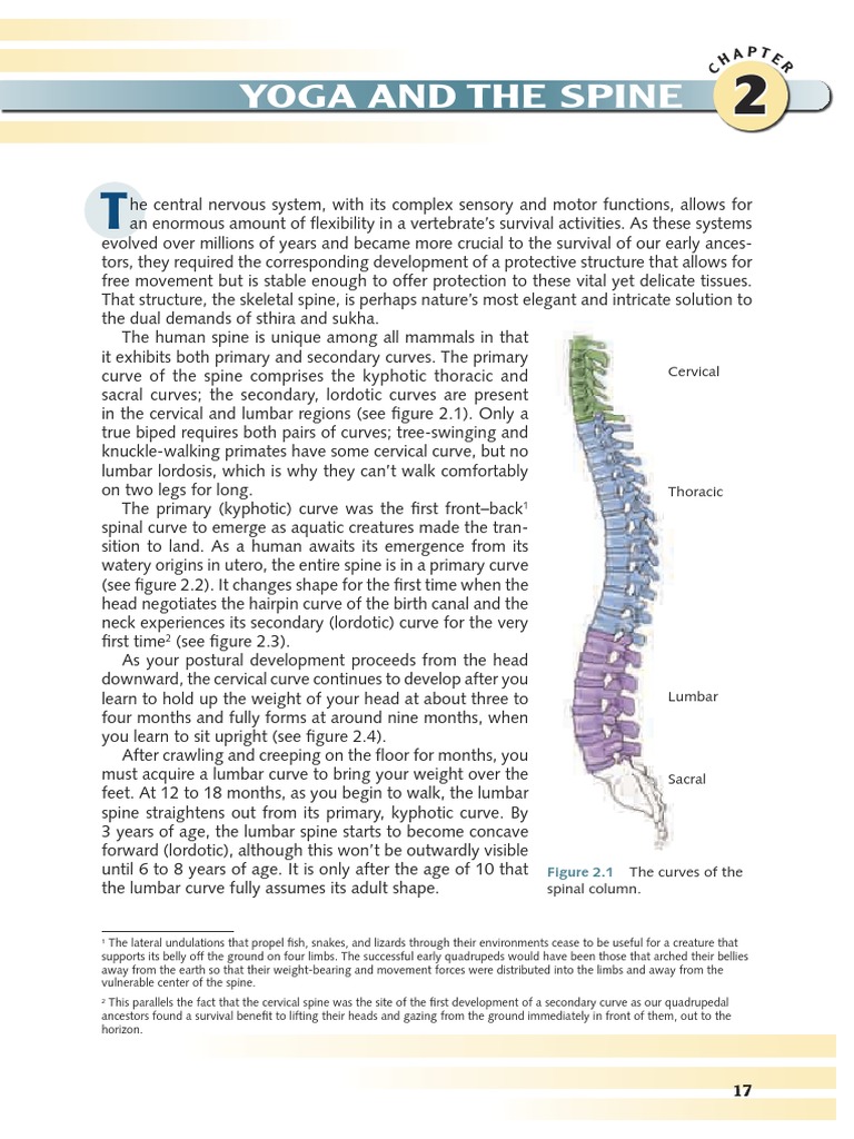 01 Vertical Spine & Movements PDF
